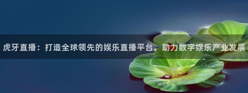 说球帝app直播在线观看高清免费：虎牙直播：打造全球领先的娱乐直播平台，助力数字娱乐产业发展