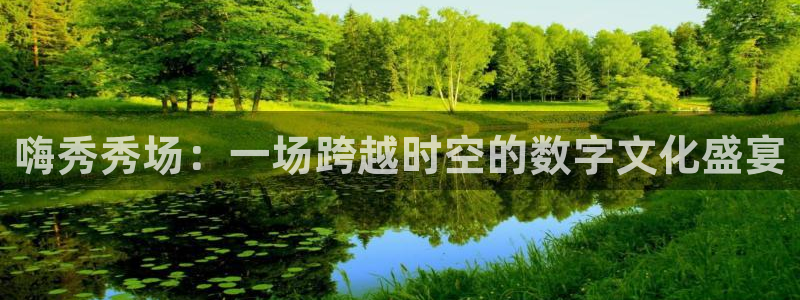 说球帝直播nba：嗨秀秀场：一场跨越时空的数字文化盛宴