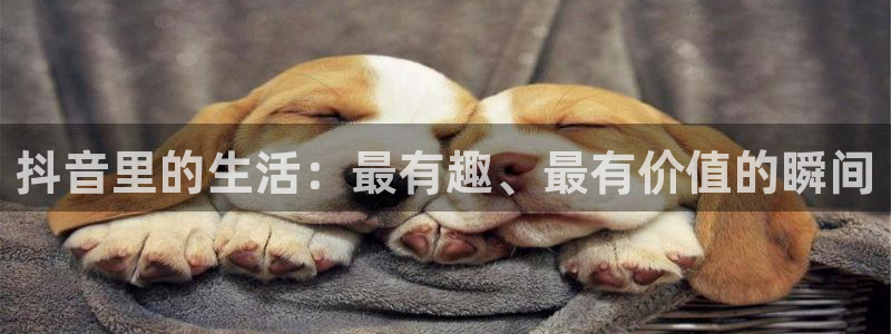 说球帝体育在线直播：抖音里的生活：最有趣、最有价值的瞬间