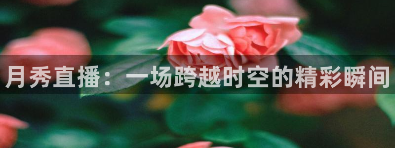 说球帝篮球直播：月秀直播：一场跨越时空的精彩瞬间