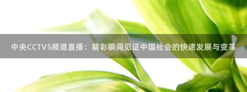 nba在线观看免费观看说球帝：中央CCTV5频道直播：精彩瞬间见证中国社会的快速发展与变革
