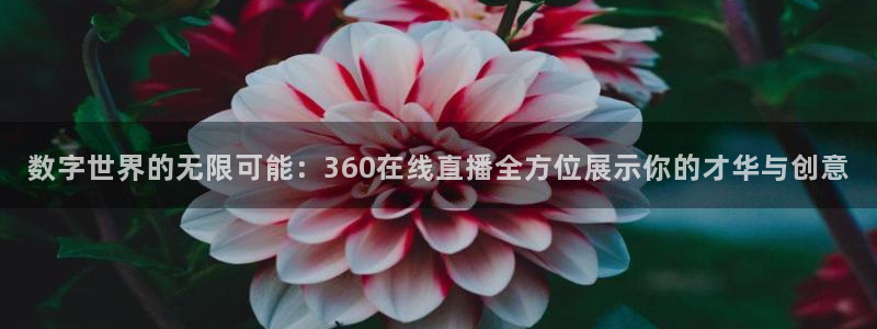 说球帝直播nba免费观看：数字世界的无限可能：360在线直播全方位展示你的才华与创意