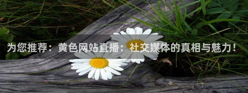 说球帝在线观看nba免费直播：为您推荐：黄色网站直播：社交媒体的真相与魅力！