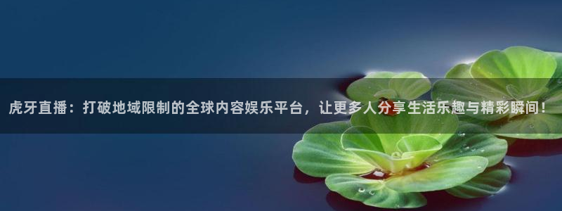 说球帝nba直播在线观看免费app：虎牙直播：打破地域限制的全球内容娱乐平台，让更多人分享生活乐趣与精彩瞬间！