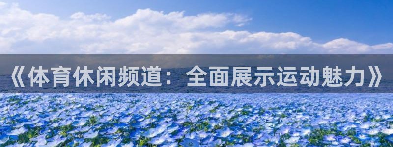 nba视频直播说球帝：《体育休闲频道：全面展示运动魅力》