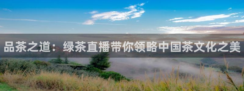 说球帝看球直播：品茶之道：绿茶直播带你领略中国茶文化之美